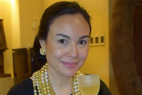 gretchen barretto rcbc|amber barretto age.
